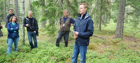 Policymix practitioners in forest